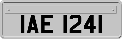 IAE1241