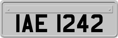 IAE1242