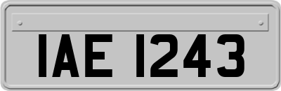 IAE1243