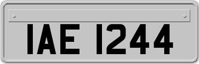 IAE1244