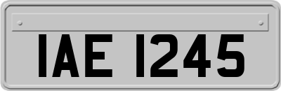 IAE1245