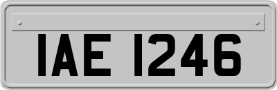 IAE1246