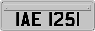 IAE1251