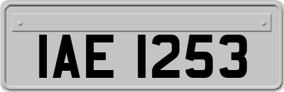 IAE1253