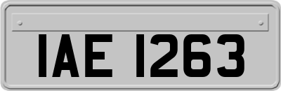 IAE1263