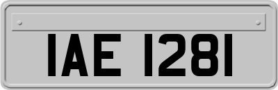 IAE1281