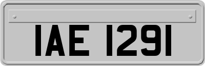 IAE1291