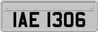 IAE1306