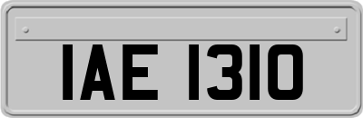 IAE1310