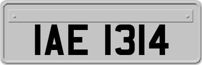 IAE1314