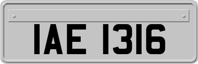 IAE1316