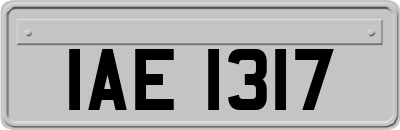 IAE1317