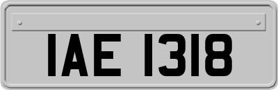 IAE1318