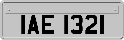 IAE1321