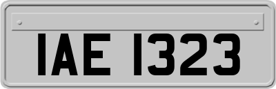 IAE1323