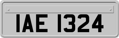 IAE1324