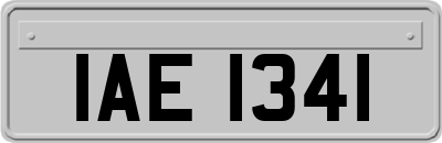 IAE1341