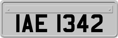 IAE1342