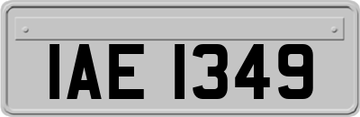 IAE1349