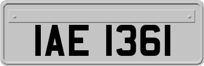 IAE1361