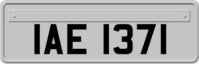 IAE1371