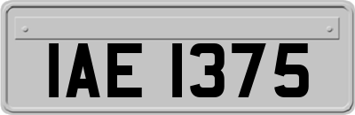 IAE1375