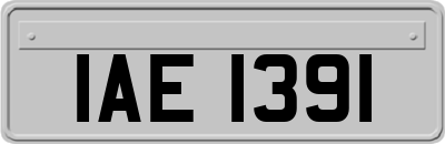 IAE1391
