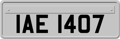 IAE1407