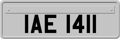 IAE1411
