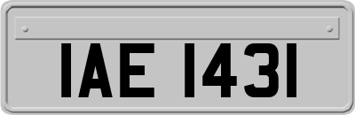 IAE1431
