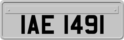 IAE1491