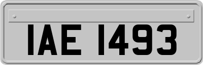 IAE1493