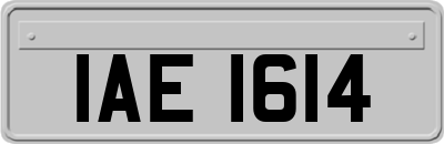 IAE1614