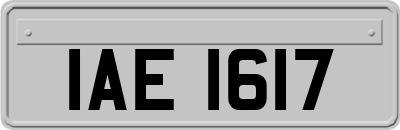 IAE1617