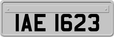 IAE1623