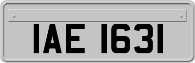 IAE1631