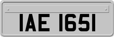IAE1651