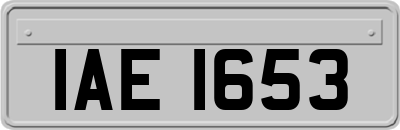 IAE1653