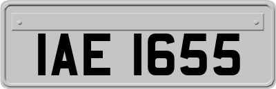 IAE1655