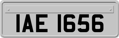 IAE1656