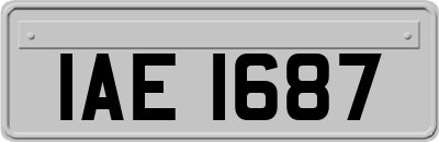 IAE1687
