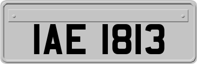 IAE1813