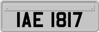 IAE1817