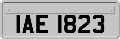 IAE1823