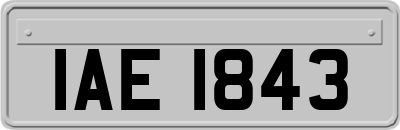 IAE1843