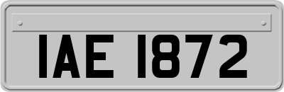 IAE1872