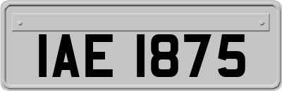 IAE1875