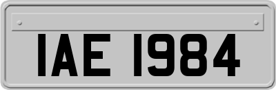 IAE1984
