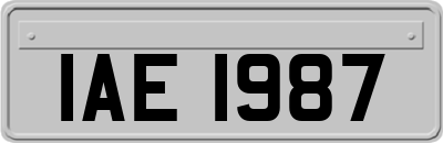 IAE1987