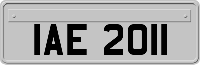 IAE2011